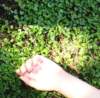 hand_small.jpg