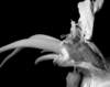 dscn00901_small.jpg