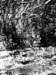 dscn02793_small.jpg