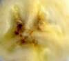 imgp19202_small.jpg