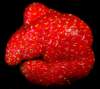 imgp19821_small.jpg