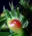 imgp20022_small.jpg