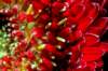 imgp22081_small.jpg