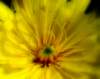 imgp2282_small.jpg