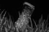 imgp2964_small.jpg