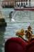 dscn9190bvestomavertok_small.jpg