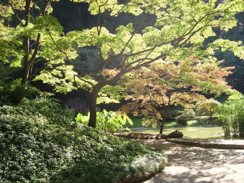 natura2.jpg