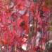 flora3_small.jpg
