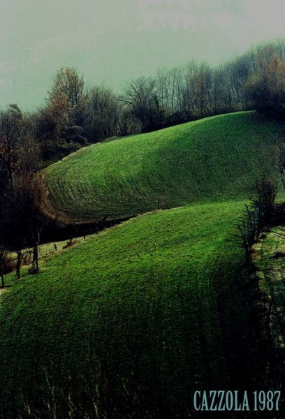 prato.jpg