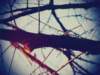mostra10_small.jpg