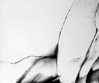 Elio Rossato