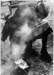 rossato02_small.jpg