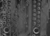 circu002_small.jpg