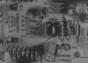 circu014_small.jpg