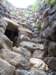 _0877_small.jpg