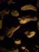 _0880_small.jpg