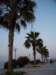 _1037_small.jpg