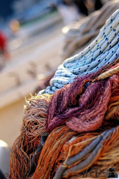 photo10.jpg