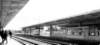 gallarate_small.jpg
