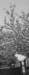 natura_small.jpg