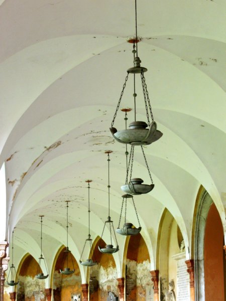 lacertosa.jpg